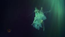 Завинаги с Теб! Always With You - Videoclip.bg