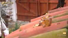 Георги Илиевски - Гледай ме, гледай либе - Videoclip.bg