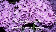 Свети Георги Победоносец Гергьовден 2015 - Честит имен ден Зелен, зелен Гергьовден! - Videoclip.bg