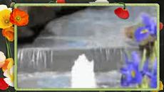 Софи Маринова- Даньова мама - Videoclip.bg