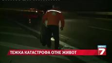 Свирепа катастрофа край Ихтиман
