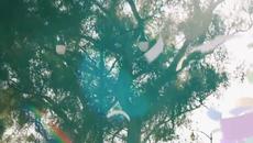 Прекрасна... Jessie J - Flashlight ( From Pitch Perfect 2, the movie ) + Превод - Videoclip.bg