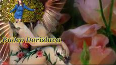 Драгана Миркович- Ljubav je samo za heroje - Videoclip.bg