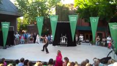 Кунг-фу бойци в страхотно шоу показват умения - Videoclip.bg