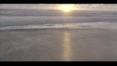 Deep House - Zeni N - I Feel Love ( Harvey Nash Remix ) - Videoclip.bg