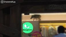 Уникална видео сензация!!! Женски глиган, влезе и предизвика паника в хонконгски Мол - Videoclip.bg