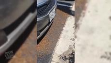 Най - добрите клипове за седмицата - Компилация / Май 2015 Jukin Video - Videoclip.bg