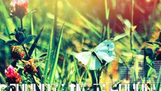 Phaeleh - Afterglow (Страхотен Ритъм) - Videoclip.bg