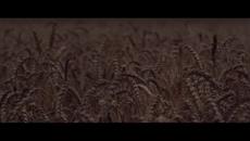 Lost Frequencies - Are You With Me ( Dash Berlin Remix ) - Videoclip.bg