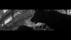 Bryan Ferry - Johnny & Mary [ Official Video ] - Videoclip.bg