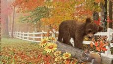 Катеричка Рунтавелка - Детска Песничка - Videoclip.bg