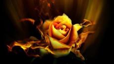 MASTER OF MY HEART_MARCUS JOHNSON &MAYSA - Videoclip.bg