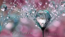 Ще разбереш... - Videoclip.bg