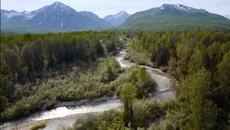 МЕЧКИ ... Уроците на природата,заложени във всяко живо същество! (с музиката на Jean Michel Jarre) ... - Videoclip.bg