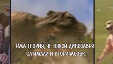 5 Неща които не знаем за динозаврите - Videoclip.bg