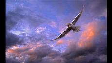 Mark Knopfler - In The Sky - Videoclip.bg