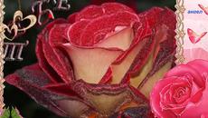 Любовь закружит нас. - Videoclip.bg