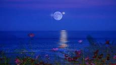 ✨✨Една тъжна синя луна! ... ... (music Stamatis Spanoudakis) ... ...✨✨ - Videoclip.bg
