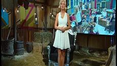 Big Brother (19.08.2015) Биг Брадър част 2 - Videoclip.bg
