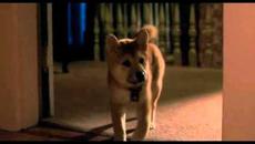 Hachiko A Dog's Story / Хачико: Историята на едно куче (2009) - Videoclip.bg