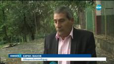 Правят с метър по-висока оградата на избягалата вълчица - Videoclip.bg