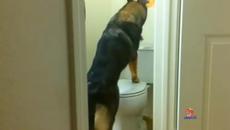 Eй така се пика - Videoclip.bg