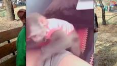 Обичам да ровя - Videoclip.bg