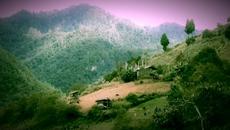 Тибет! Amba Parameswhari - Shantala - Videoclip.bg