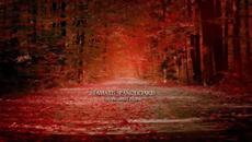 Stamatis Spanoudakis - You Walked Alone - Videoclip.bg