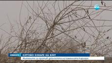 Бунт в Куртово Конаре срещу дейността на каменна кариера - трови въздуха в района, застрашава здравето и унищожава реколтата - V