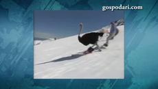 Весели празници! 100% Смях - Щраус покорява ски писта - Videoclip.bg