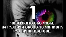 Човешките Очи -  Интересни Факти (ВИДЕО) - Videoclip.bg