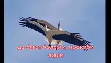 Първа пролет е дошла! Цветенце и Два конеца ❁❀✿.•⊱ - Videoclip.bg