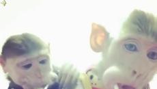 Ice MC - Think About The Way 1994 - Videoclip.bg