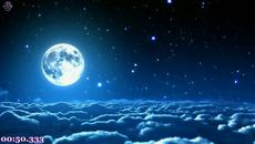 Лудвиг ван Бетховен Ludwig Van Beethoven - Sonata №14 Moonlight - Videoclip.bg
