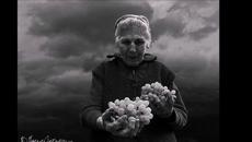 ♥ ✿ღ~ ... Още ли ме чакаш, мамо? ...~ღ✿ ♥   - Videoclip.bg
