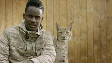 Black M - La nuit porte conseil 2016 - Videoclip.bg