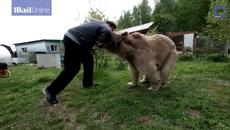 Невероятно! Мечка тежка 136 кг.стана част от руско семейство и се храни на масата с тях - Videoclip.bg