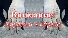Мъж от Бургаско почина след ухапване от кърлеж - Videoclip.bg