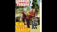 Манастирът Шаолин 2: Децата от Шаолин / Shaolin temple 2: Kids from Shaolin - (1984) bg sub - Videoclip.bg