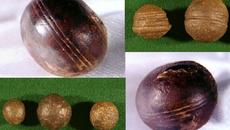 Загадъчните сфери от Южна Африка на 2,8 млрд. години, за които още няма отговори - Videoclip.bg