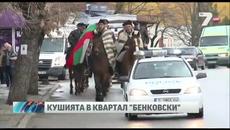Честит Тодоров ден - (08.03.2014)- Кушията в кв.Бенковски - VideoClip.bg