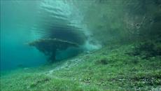 Невероятна красота! Mike Oldfield ♛ Lake Costance - Videoclip.bg
