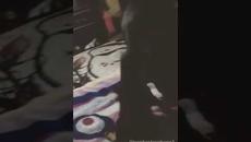 Check out this musical.ly: My doog???????????????? - Videoclip.bg