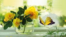｡✿‿✿｡ Жълти рози! ... (Marionne Wheels  -  Romantic Saxophone) ｡✿‿✿｡ - Videoclip.bg