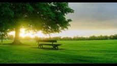 Eric Culberson & The Erox Band - Morning Light Blues - Videoclip.bg