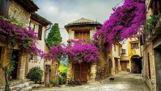 Bougainvillea ...  (Wieslawa Dudkowiak music accordion) - Videoclip.bg