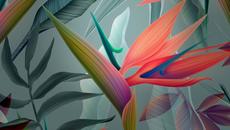 •⊰✿⊱•  Стрелиция  ... (Bird Of Paradise - Flower)  •⊰✿⊱• - Videoclip.bg