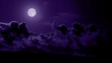 Превод - Prince - Purple Rain - Videoclip.bg