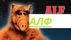 ALF 4x23  / АЛФ - РАЗХВЪРЛЯНЕ - Videoclip.bg